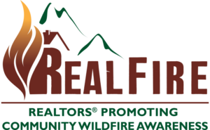 RealFire Logo VBR